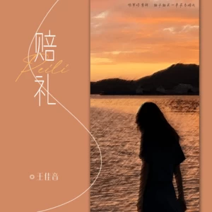 王佳音 - 赔礼