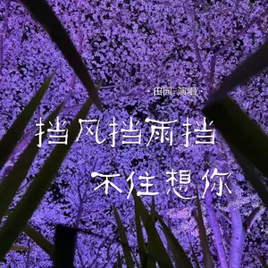 挡风挡雨挡不住想你(伴奏)