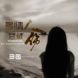 多情人总被伤