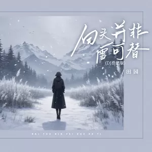 白头并非雪可替(DJ浩然版伴奏)