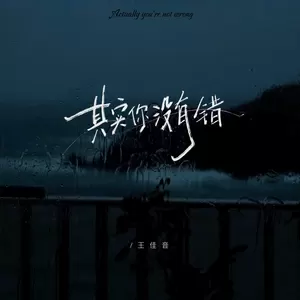 王佳音 - 其实你没有错