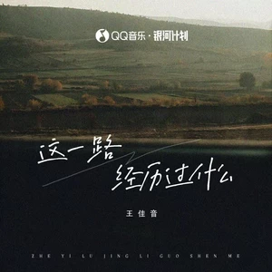 王佳音 - 这一路经历过什么(伴奏)