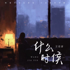 王佳音 - 什么时候
