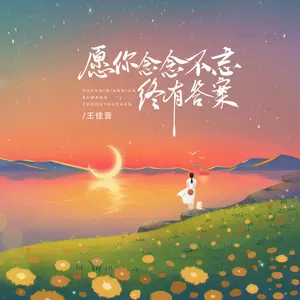 王佳音 - 愿你念念不忘终有答案(伴奏)