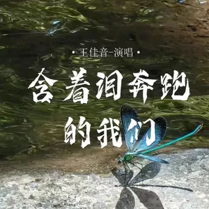 王佳音 - 含着泪奔跑的我们(伴奏)