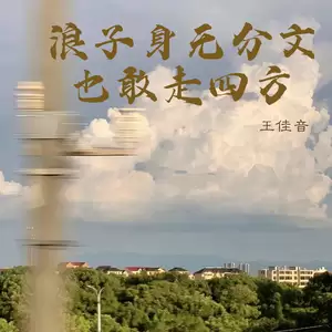 王佳音 - 浪子身无分文也敢走四方