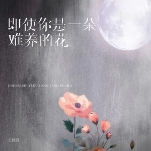 王佳音 - 即使你是一朵难养的花(伴奏)