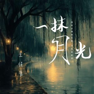 王佳音 - 一抹月光(伴奏)