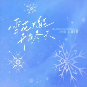 王佳音/迟亦骁 - 雪花只能开在冬天(伴奏)