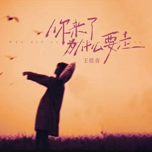 王佳音 - 你来了为什么要走