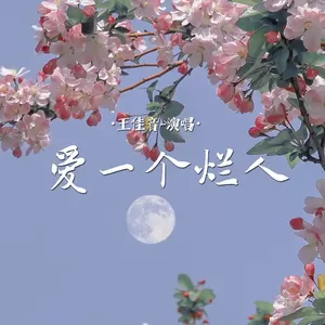 王佳音 - 爱一个烂人(伴奏)