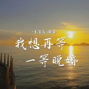 王佳音 - 我想再等一等晚婚(伴奏)