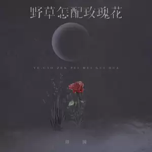 田园 - 野草怎配玫瑰花
