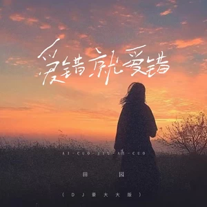 田园 - 爱错就爱错(DJ豪大大版)