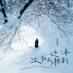 王佳音 - 这一年没什么特别(伴奏)