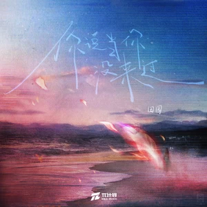 田园 - 你说当你没来过