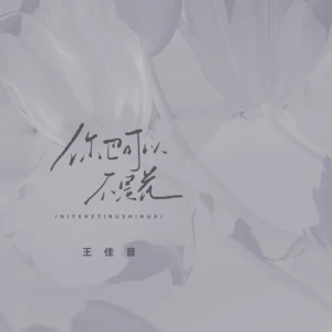 你也可以不是花(伴奏)