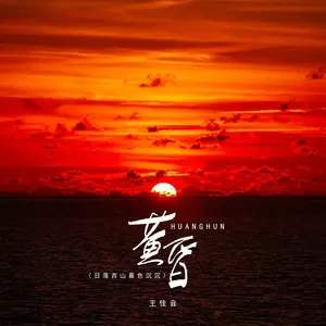 黄昏(日落西山暮色沉沉-DJ豪大大版)