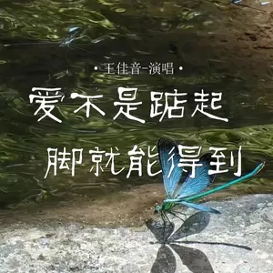 王佳音 - 爱不是踮起脚就能得到(伴奏)