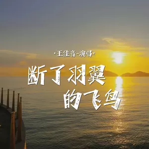 断了羽翼的飞鸟(伴奏)
