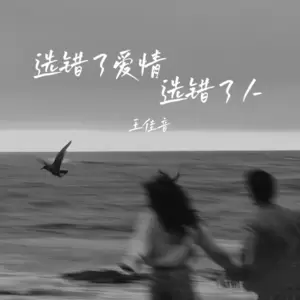 王佳音 - 选错了爱情选错了人(DJ默涵版伴奏)
