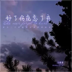 王佳音 - 好了伤疤忘了疼