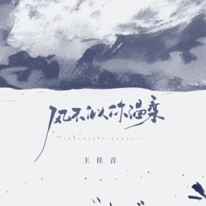 王佳音 - 风不似你温柔(伴奏)