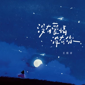 王佳音 - 没有爱情没有你(伴奏)