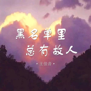 黑名单里总有故人(伴奏)