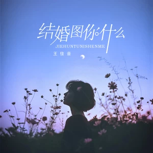 王佳音 - 结婚图你什么(伴奏)