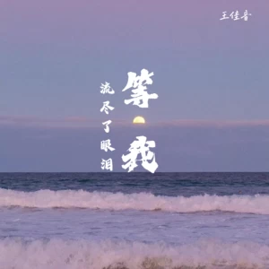 王佳音 - 等我流尽了眼泪