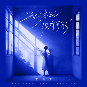 王佳音 - 我们本就没有可能(伴奏)