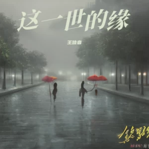 王佳音 - 这一世的缘