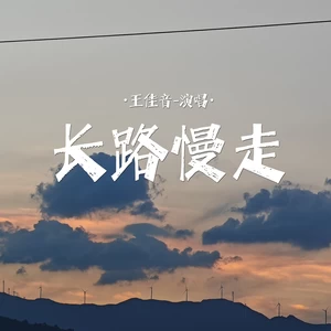 王佳音 - 长路慢走(伴奏)