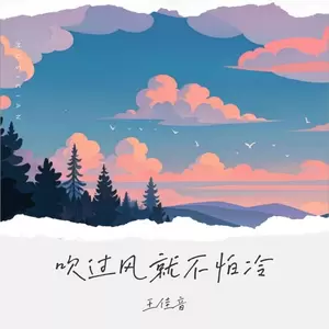 王佳音 - 吹过风就不怕冷