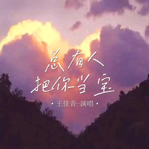 总有人把你当宝(Live合唱版伴奏)
