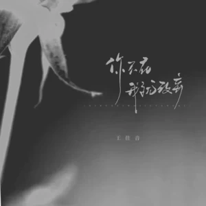 你不在意我就放弃(DJ德朋版)