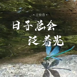 王佳音 - 日子总会泛着光(伴奏)