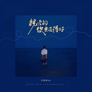 王佳音 - 亲爱的你要过得好(和声伴奏)