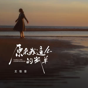王佳音 - 原来我这么的孤单(伴奏)
