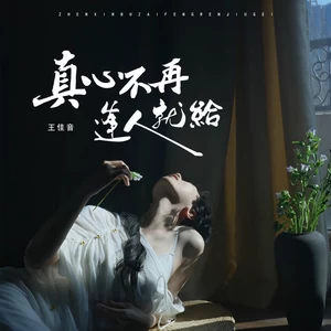 王佳音 - 真心不再逢人就给(伴奏)