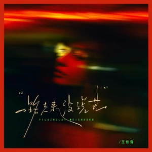 王佳音 - 一路走来没说苦(伴奏)