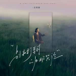 王佳音 - 别为打翻的牛奶哭泣(伴奏)