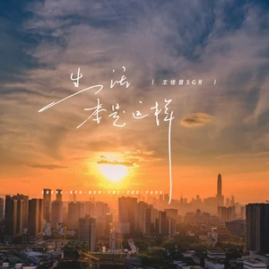 王佳音 - 生活本是这样