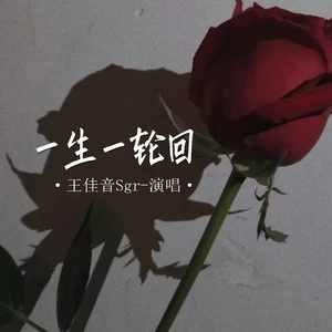 王佳音 - 一生一轮回
