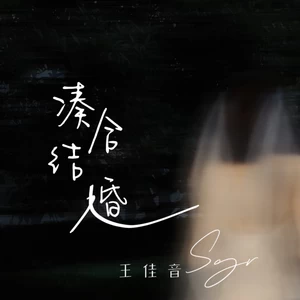 王佳音 - 凑合结婚