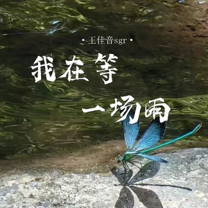王佳音 - 我在等一场雨(合唱版伴奏)