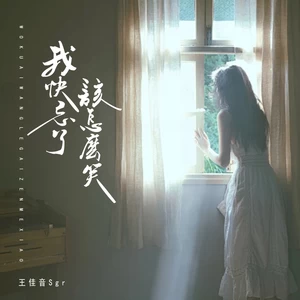 王佳音 - 我快忘了该怎么笑(伴奏)