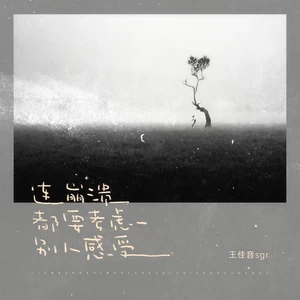 王佳音 - 连崩溃都要考虑别人感受