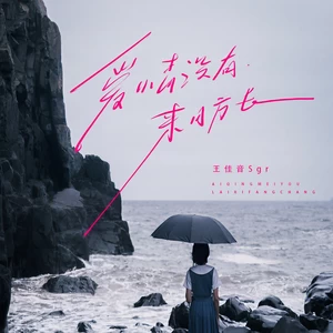 王佳音 - 爱情没有来日方长